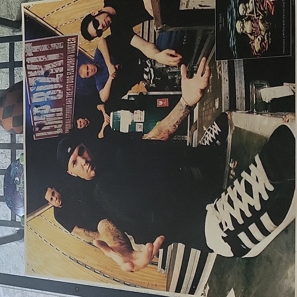 LIMP BIZKIT  Chocolate Starfish & the Hot Dog Flv water poster.